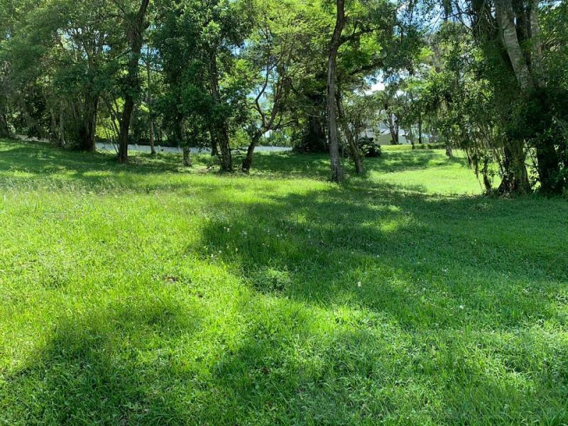 Terreno, 535 m² - Foto 6