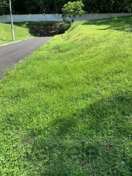 Terreno, 535 m² - Foto 5