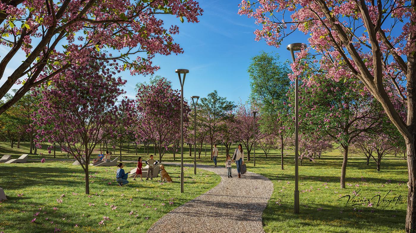 Terreno, 255 m² - Foto 8