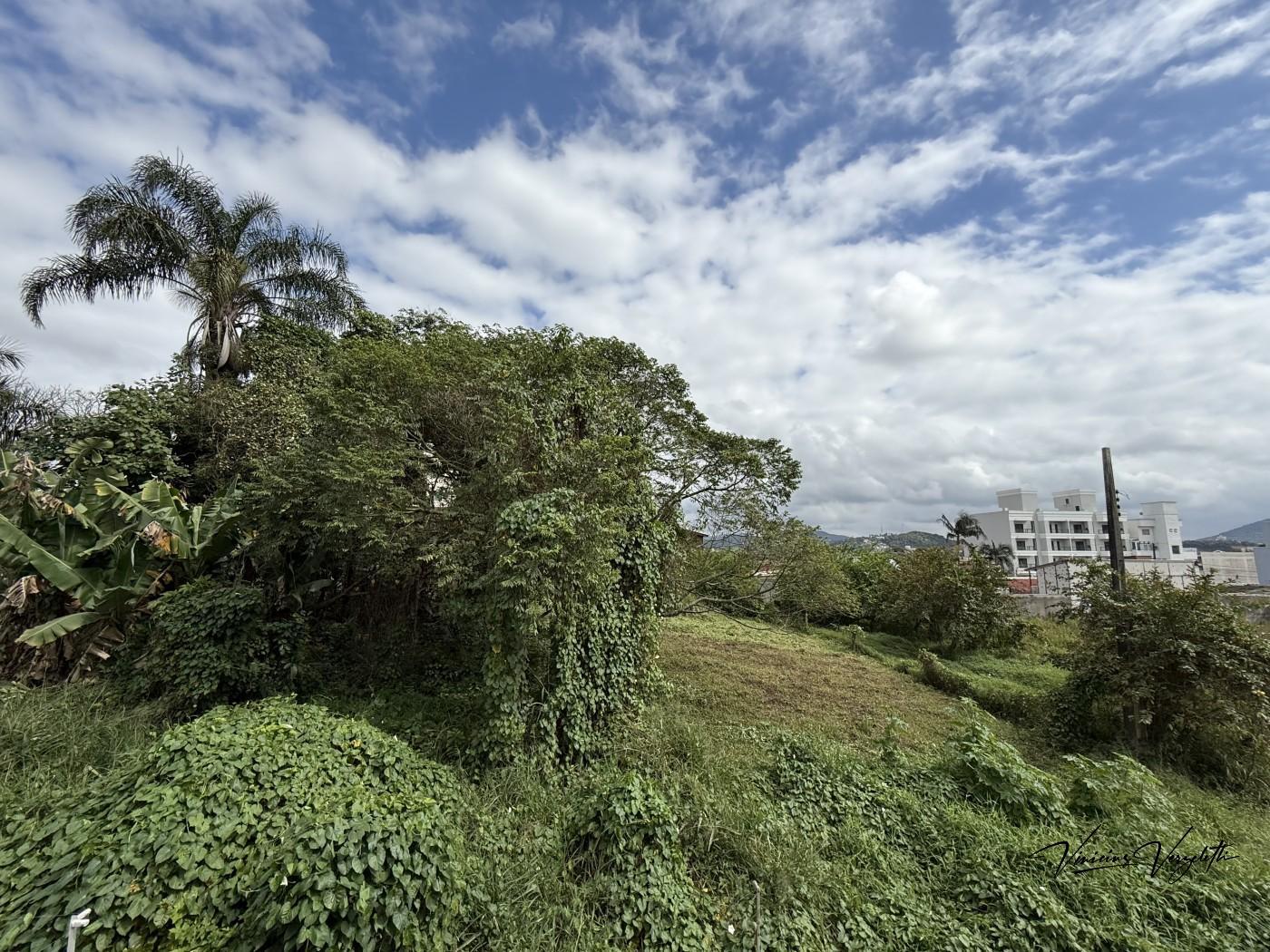 Sobrado, 2 quartos, 82 m² - Foto 7