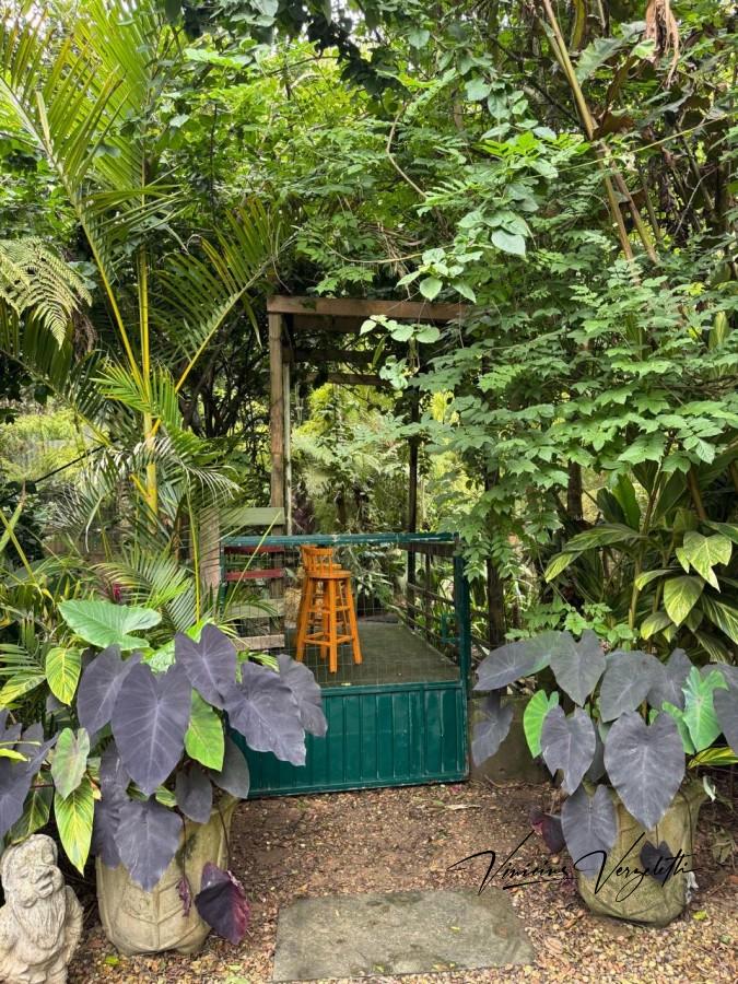 Fazenda, 2250 m² - Foto 7