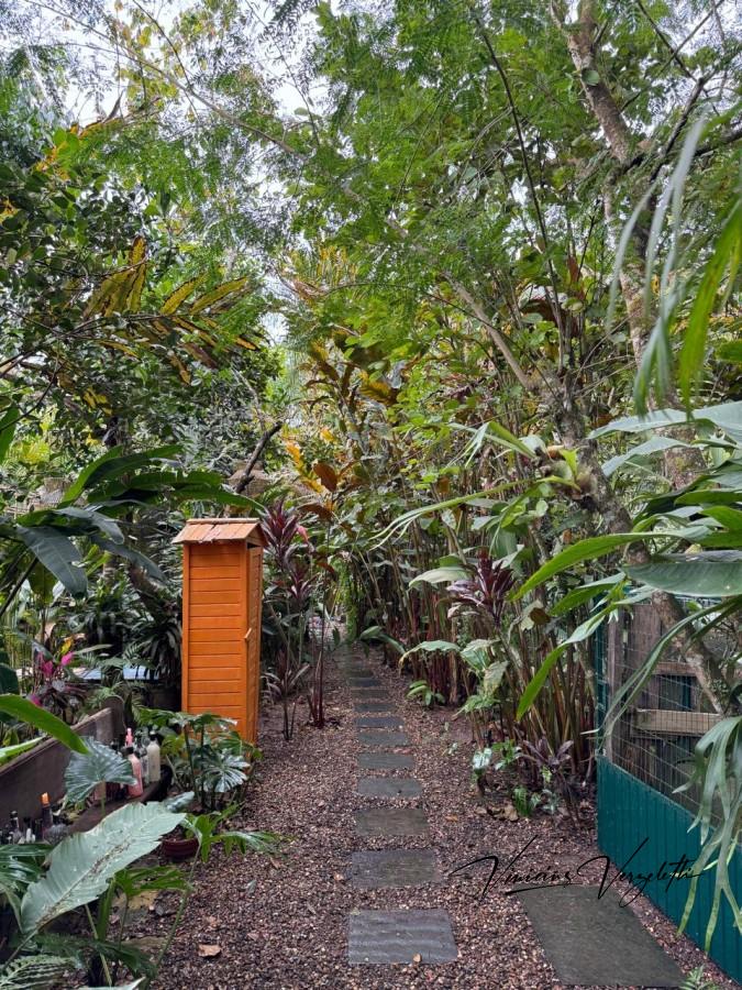 Fazenda, 2250 m² - Foto 10