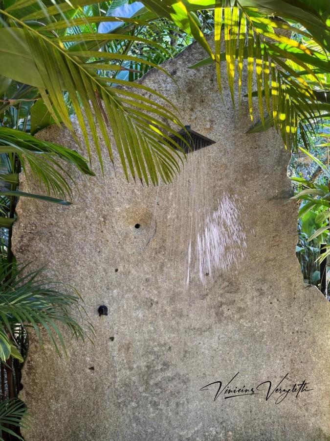 Fazenda, 2250 m² - Foto 9