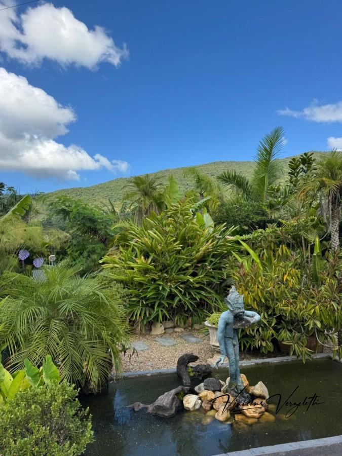 Fazenda, 2250 m² - Foto 20