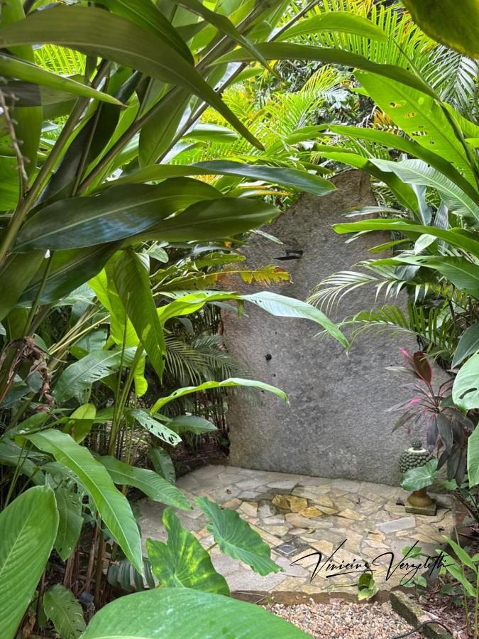 Fazenda, 2250 m² - Foto 45