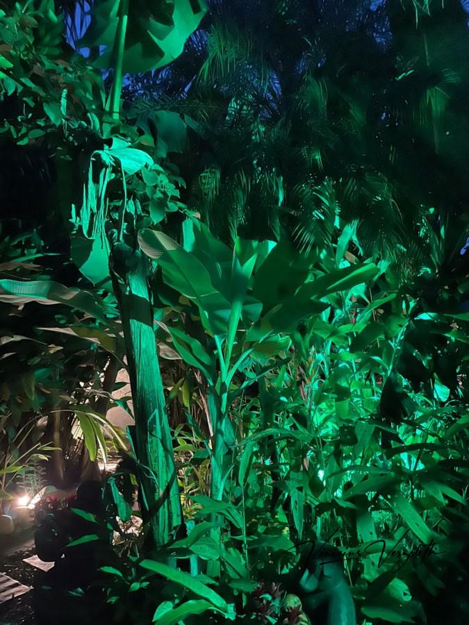 Fazenda, 2250 m² - Foto 49