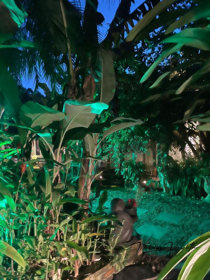 Fazenda, 2250 m² - Foto 51