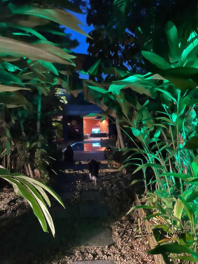 Fazenda, 2250 m² - Foto 52