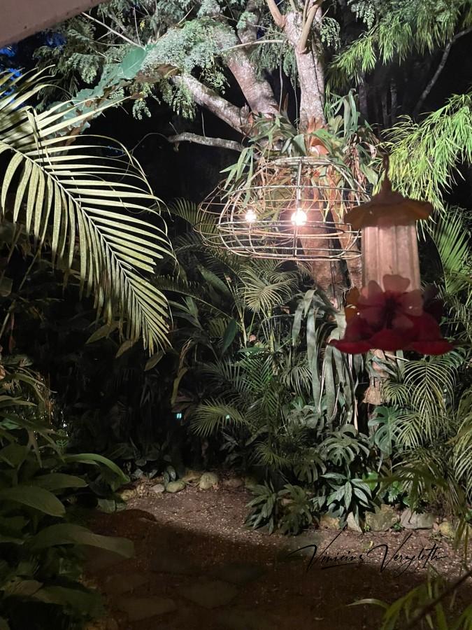 Fazenda, 2250 m² - Foto 53