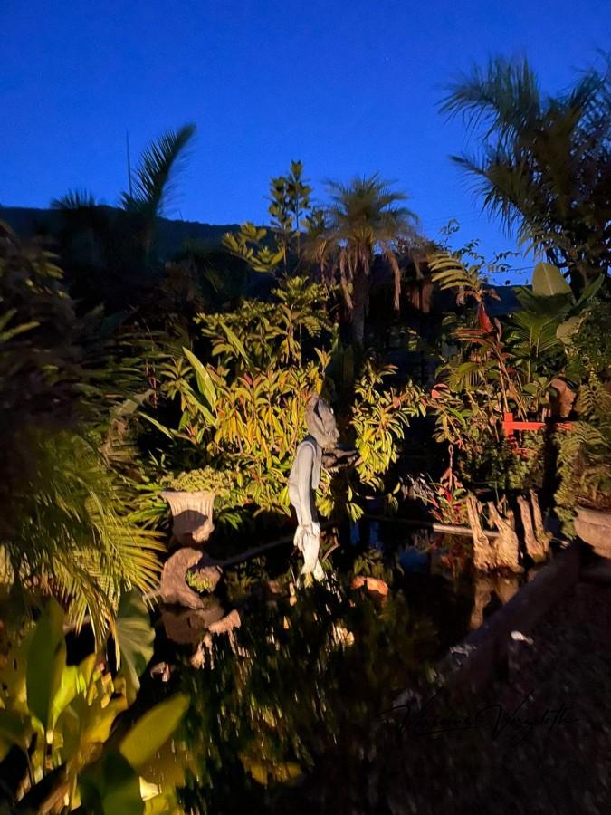 Fazenda, 2250 m² - Foto 54