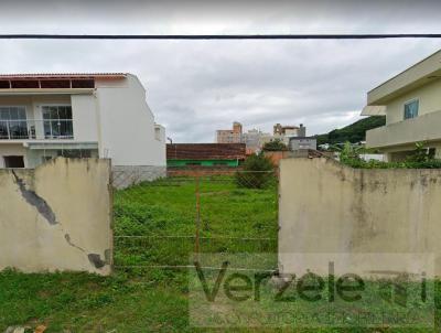 Terreno para Venda, em Camboriú, bairro São Francisco de Assis